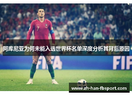阿库尼亚为何未能入选世界杯名单深度分析其背后原因