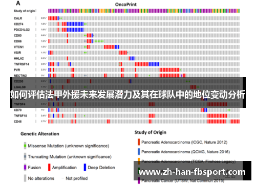 如何评估法甲外援未来发展潜力及其在球队中的地位变动分析